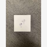 ̤ Airpods Pro (2nd generation)