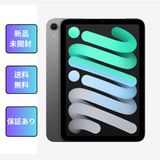 ̤ iPad Mini A17Pro 128GB ڡ졼WiFi