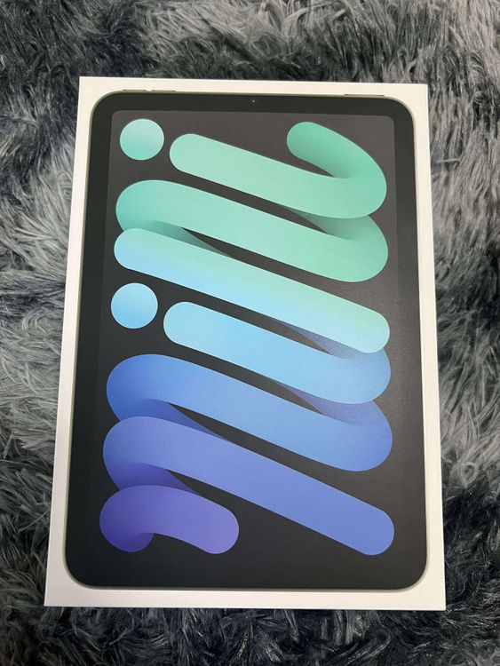 ʡ̤ iPad Mini A17Pro 128Gb ڡ졼 Wi-Fiǥ