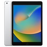 Ķ iPad 9 Wi-Fi+Cellularǥ256GBС SIMե꡼