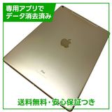 ڥХåƥ꡼100%iPadPro12.92塡顼ǥ롡256GB