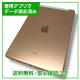 iPad7WiFiCellular32GBɡSIMե꡼