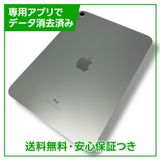 ڥХåƥ꡼100%iPad10WiFi256GBС