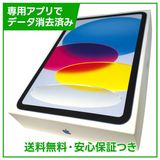 �ڥХåƥ꡼100%��iPad��11��Wi��Fi��128GB���֥롼