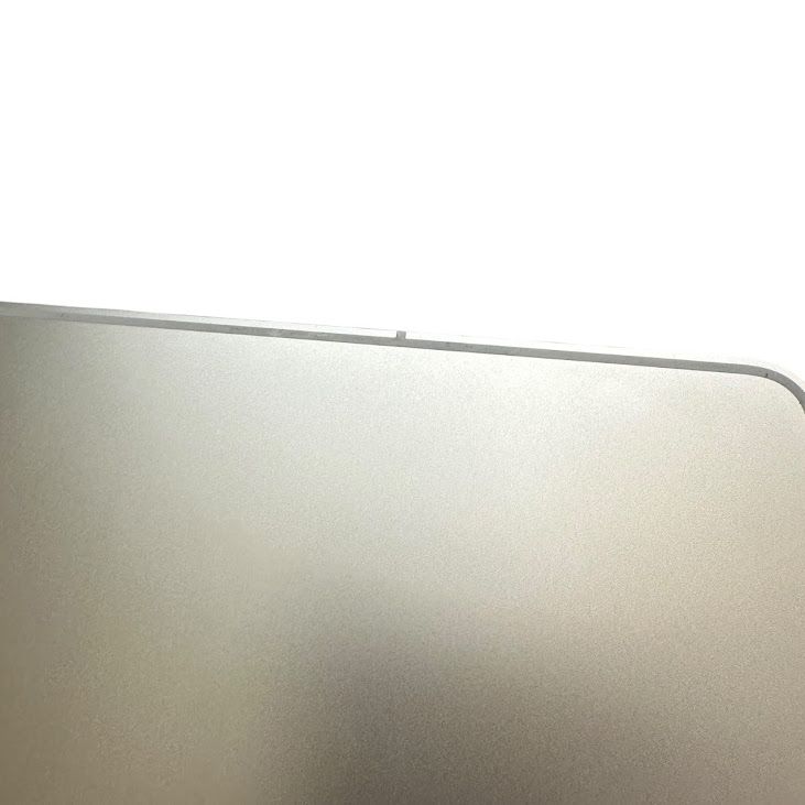 �ڥХåƥ꡼86%��iPadPro��12.9�������4���塡Wi��Fi��Cellular��1TB