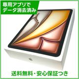 �ڥХåƥ꡼100%��iPadAir��11�������6���塡Wi��Fi��256GB���������饤��