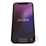 iPhone12Pro256GBѥեå֥롼SIMե꡼au