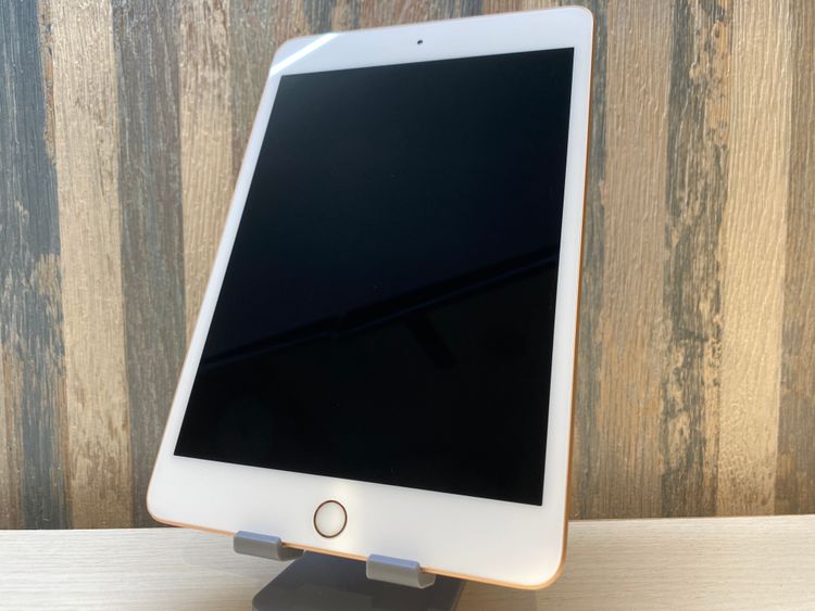 �ڹ����ǡ�iPad mini5 64GB ������ɡ�Wi-fi Cellular��SIM�ե꡼��