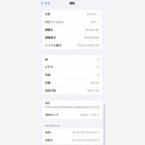 iPhone SE2 64GB ۥ磻 docomo SIMե꡼