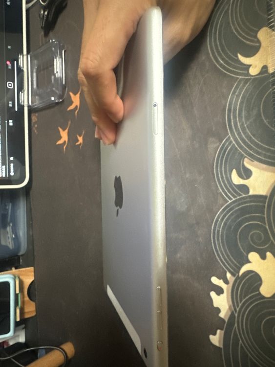 iPad mini2
