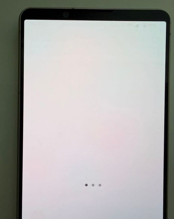 SONY Xperia 1 V docomo ����С� SO-51D
