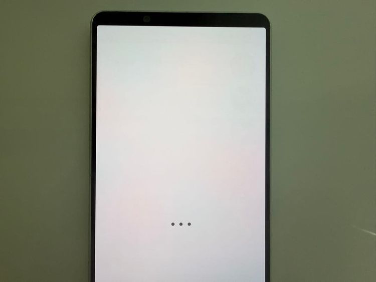 SONY Xperia 1 IV docomo �������ۥ磻��