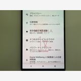 ��������ɬ�ɡ��������� SONY Xperia 1 V docomo�� 256GB �֥�å�