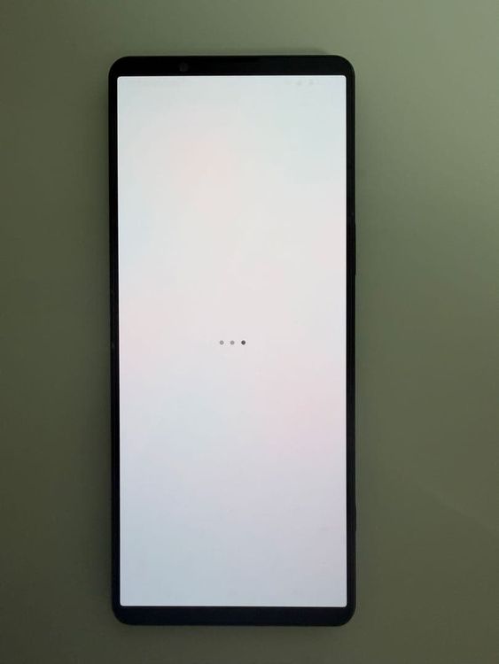 SONY Xperia 1 V docomo 256GB ��