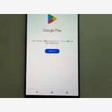 SONY Xperia 1 V docomo 256GB ����С�