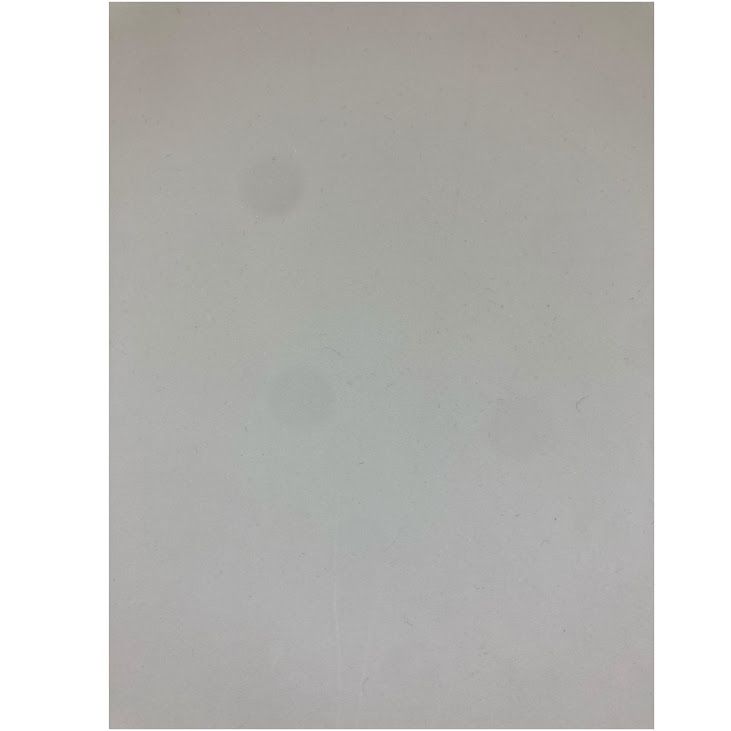 iPhone��SE����2�����64GB���ۥ磻�ȡ�SIM�ե꡼�����եȥХ���