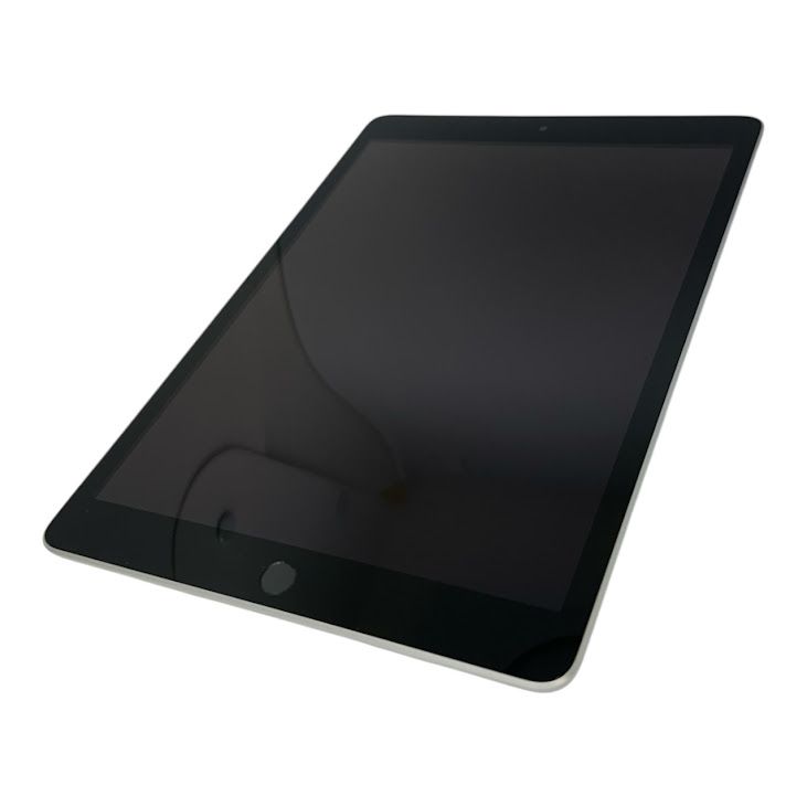 �ڥХåƥ꡼100%��iPad��9��Wi��Fi��Cellular��64GB������С�