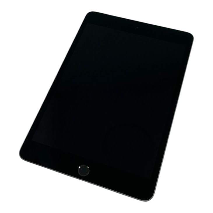 【バッテリー91%】iPadmini 5 Wi−Fi+Cellular 64GB スペースグレイ