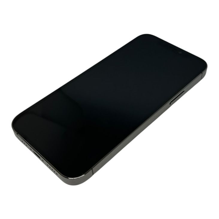 �ڥХåƥ꡼100%��iPhone��12Pro��256GB������ե�����