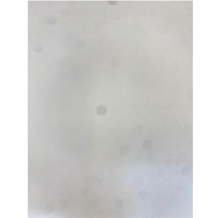 iPhone��11��Pro��64GB������С���SIM�ե꡼���ɥ�����
