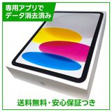 �ڥХåƥ꡼100%��iPad��11��Wi��Fi��256GB������С�