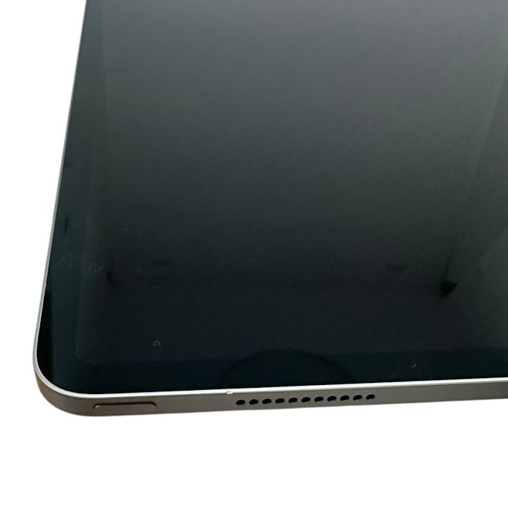 �ڥХåƥ꡼100%��iPadPro����5���塡12.9�������Wi��Fi��128GB