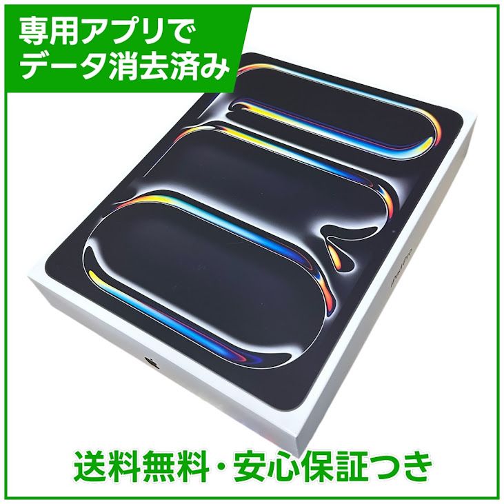 �ڥХåƥ꡼100%��iPadPro��13�������2�����M5�ˡ�Wi��Fi��256GB���֥�å�