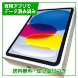 �ڥХåƥ꡼100%��iPad��11��Wi��Fi��128GB���֥롼