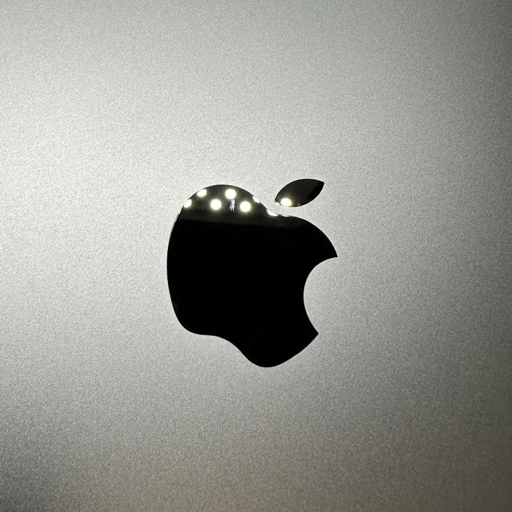 �ڥХåƥ꡼100%��iPadPro����5���塡12.9�������Wi��Fi��128GB