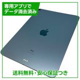 iPadAir��4��Wi��Fi��256GB���������֥롼