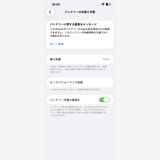 iPhone 13 Pro Max 256GB Хåƥ꡼100% ֥롼