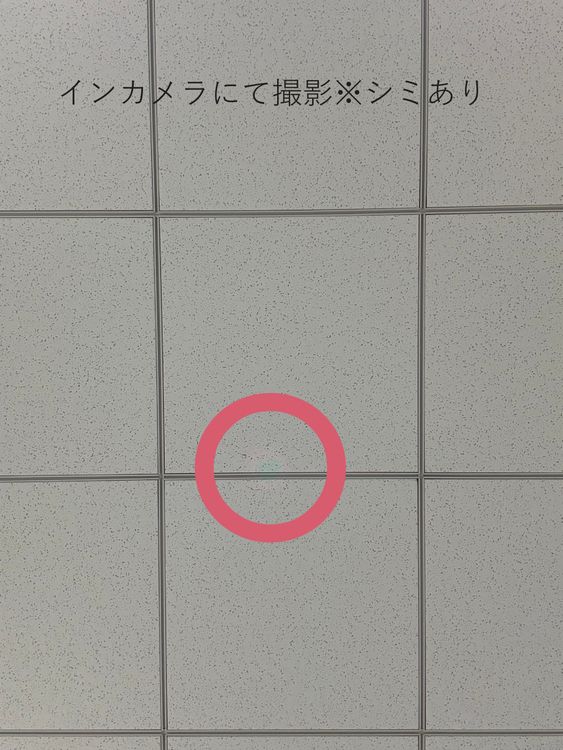 iPhone 16 Plus ���ǥⵡ