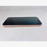 iPhone 16 Pro Max ���ǥⵡ