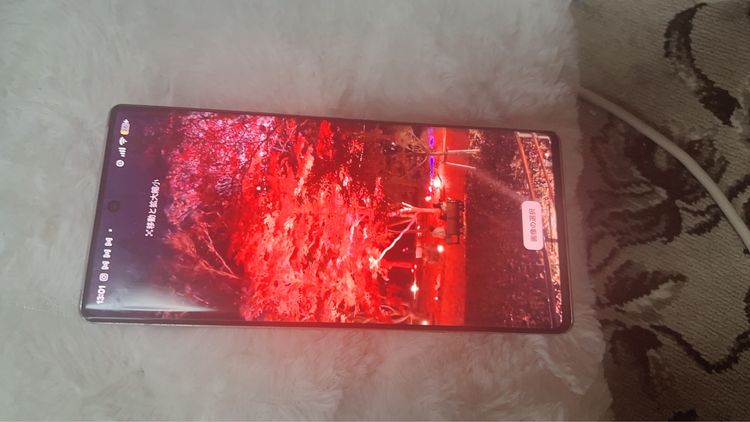 GooglePixel6pro ��������ԥ�����6�ץ�