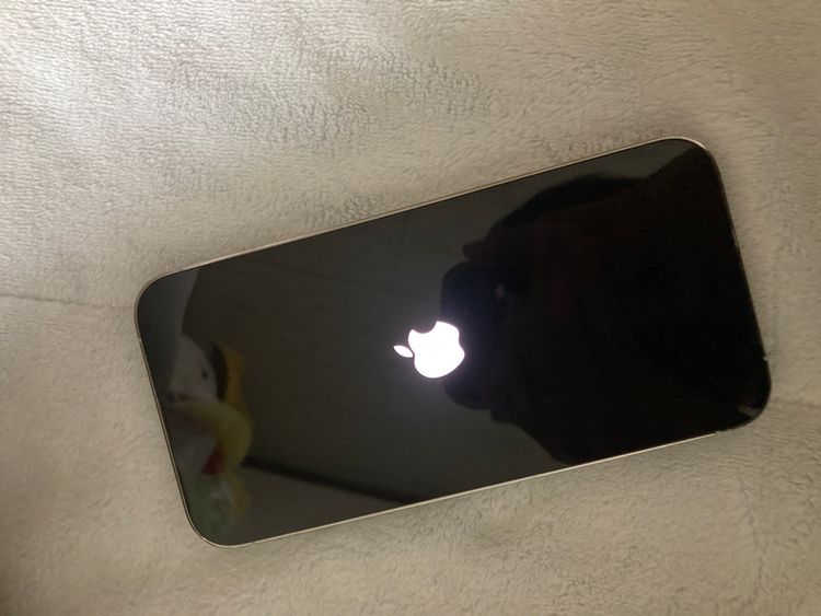 ���Ͳ�����ǽ��iPhone13Pro ����С� 256GB �����ƥ��١��������å���