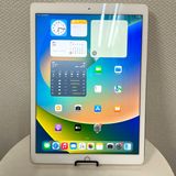 iPadPro12.9(�������)Wi-Fi + Cellular��ǥ� ������� 128GB