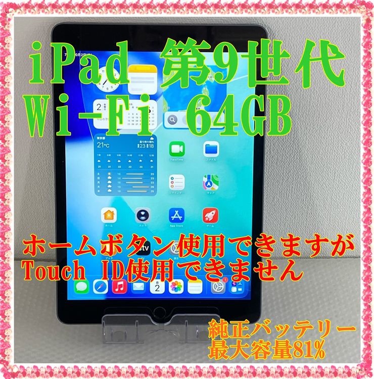 ����� APPLE iPad 10.2����� ��9���� Wi-Fi 64GB