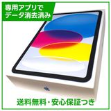 �ڥХåƥ꡼100%��iPad��11��Wi��Fi��128GB���֥롼