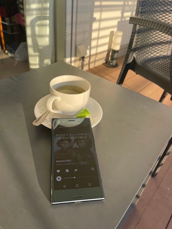 SONY XZ PREMIUM