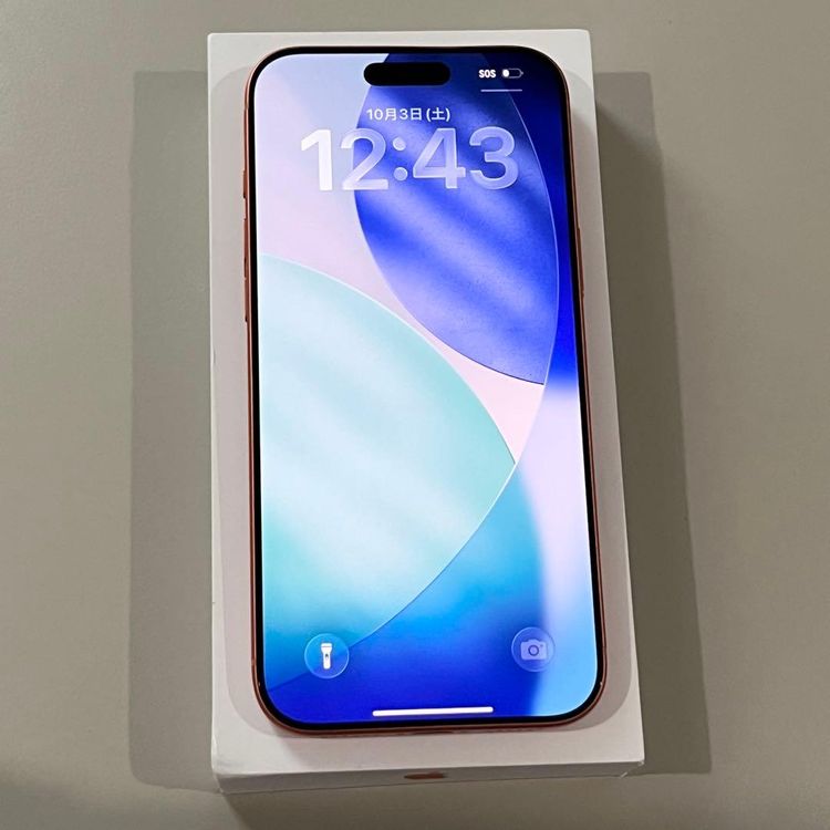�����ʡ�iPhone 17 pro max��512gb��SIM�ե꡼