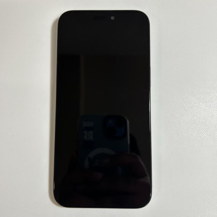 �����ʡ�iPhone 15 pro max��256GB��SIM�ե꡼