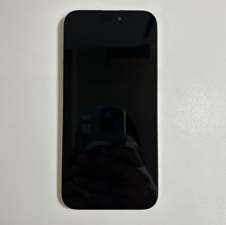 iPhone 15 pro max��256GB��SIM�ե꡼