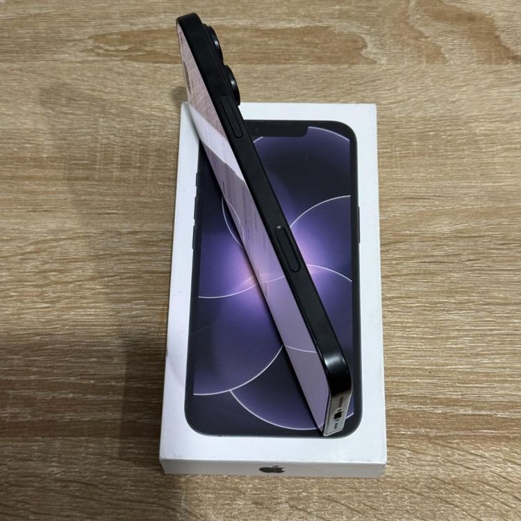 �Хåƥ꡼100% iPhone 16 Pro Max 256GB