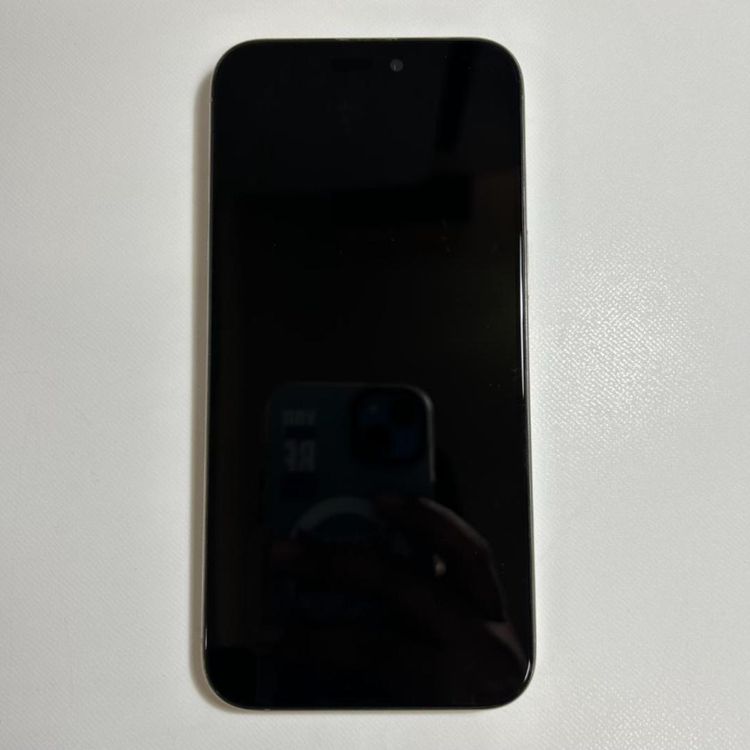 �����ʡ�iPhone 15 pro max��256GB��SIM�ե꡼
