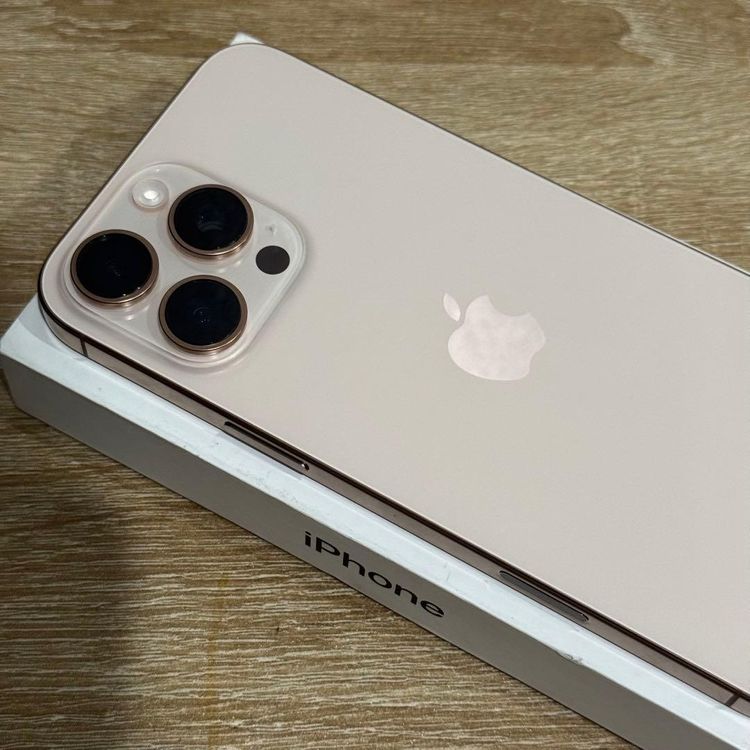 Ķ���ʡ��Хåƥ꡼100% iPhone 16 Pro Max 256GB
