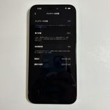 �����ʡ�iPhone 15 pro max��256GB��SIM�ե꡼