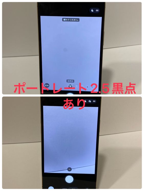 ��Х�����iPhone12 Pro Max SIM�ե꡼������84������̽��ʤ�