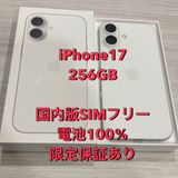 極上美品 電池100%【限定保証有り】iPhone 17 256GB SIMフリー★ケースおまけ