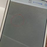 ��iPhone 8 64GB SIM�ե꡼�����񥹥ԡ���ȯ����7508
