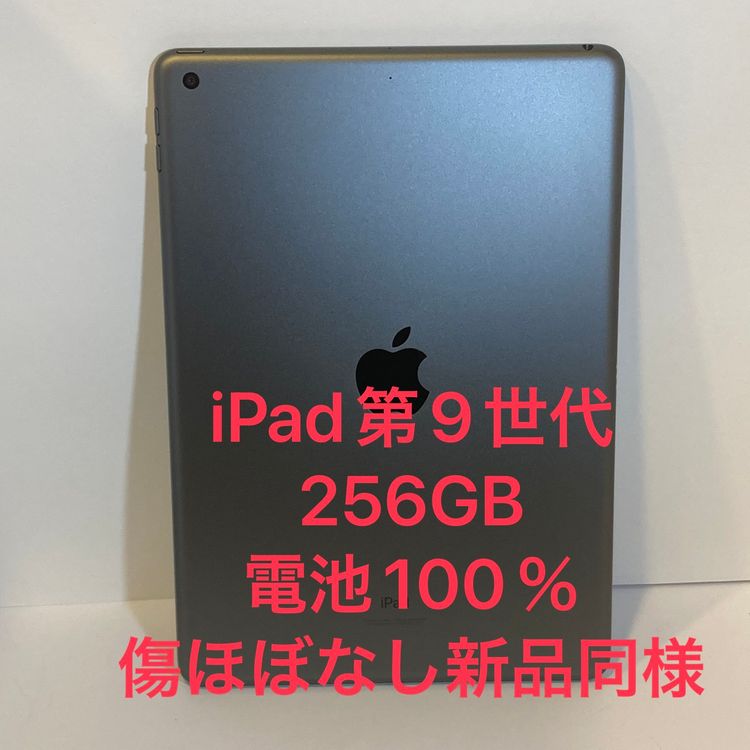 ����100�� iPad(��9����) Wi-Fi��ǥ롡���ۤ�̵������256GB